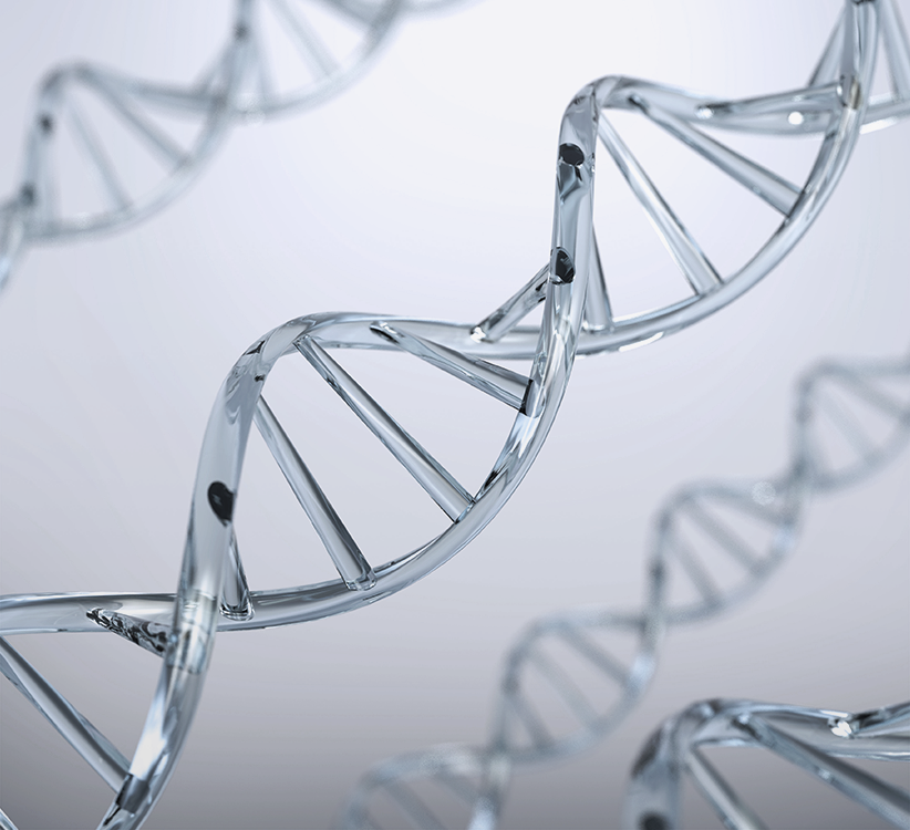 에이비 리턴셀 줄기세포