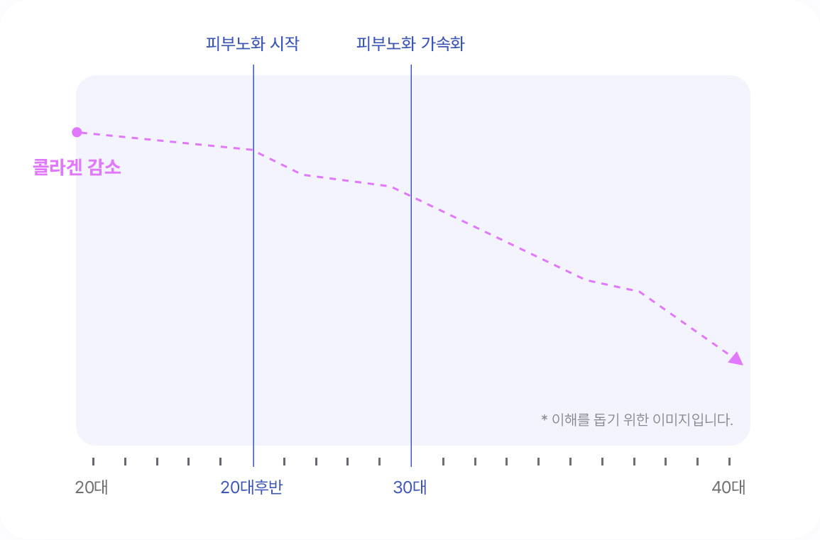 쥬베룩 시술 후 콜라겐 증가 추이 그래프