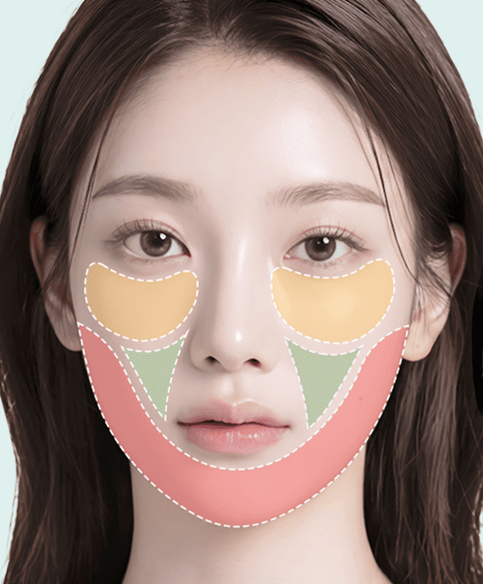 얼굴 지방의 역할에 따라 부위별로 다르게 디자인