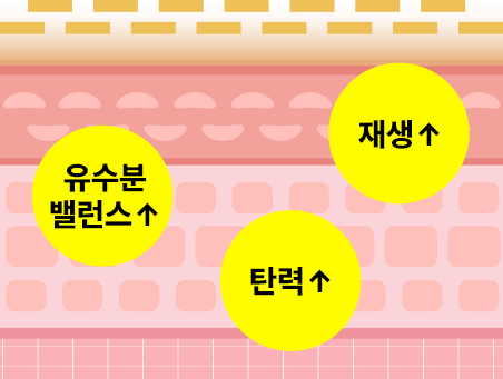 리쥬란 시술