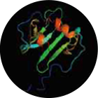 SDF-1a - 에이비 피부과