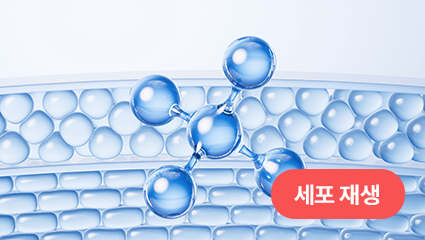 에이비 리턴셀 줄기세포 스킨부스터 - 에이비 피부과