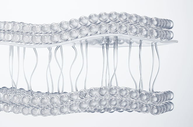 손상된 피부 조직 - 에이비 피부과