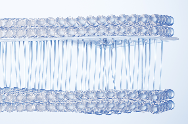 재생된 피부 조직 - 에이비 피부과